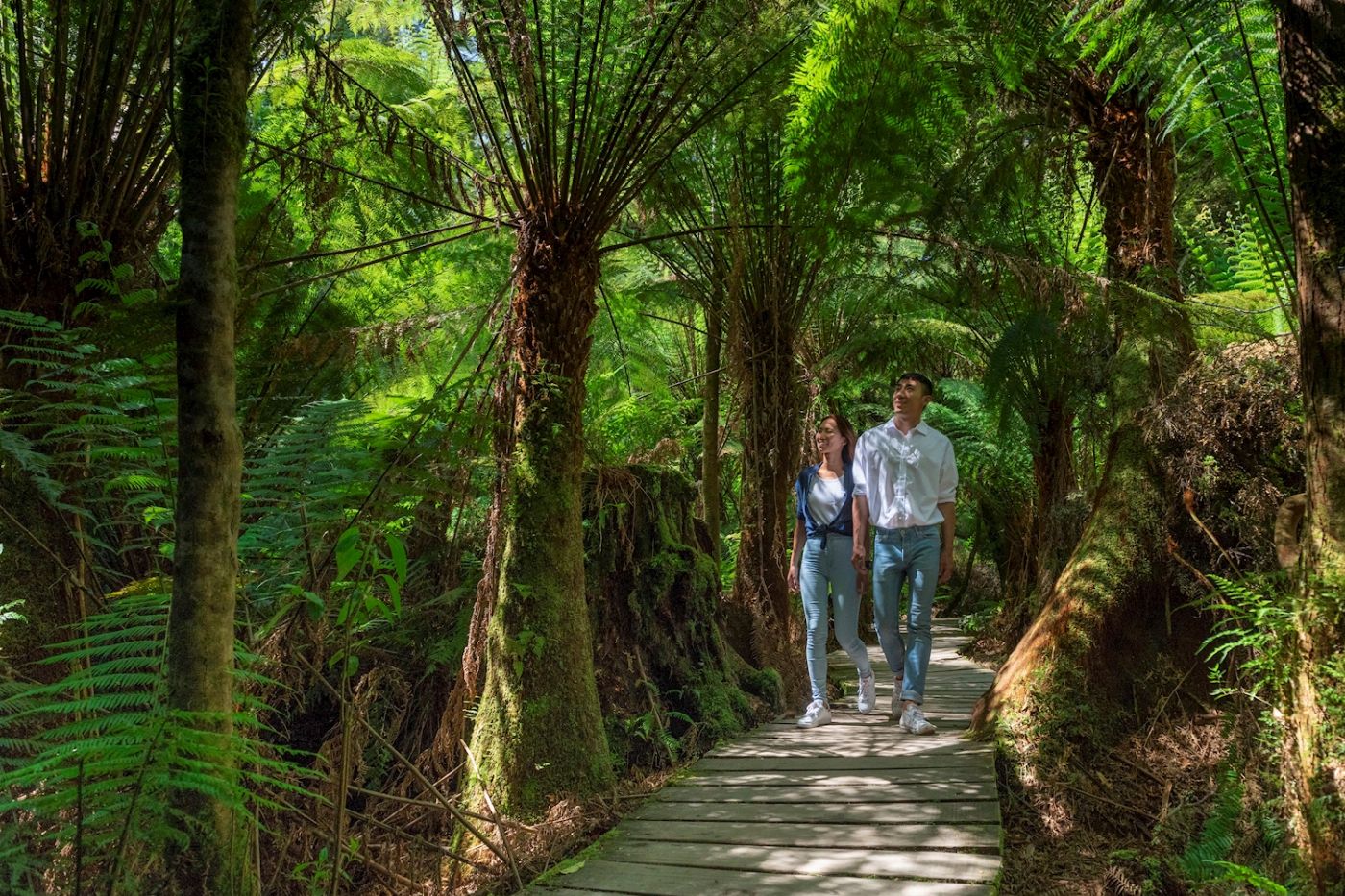 Autopia Tours Great Ocean Road Twelve Apostles Tour