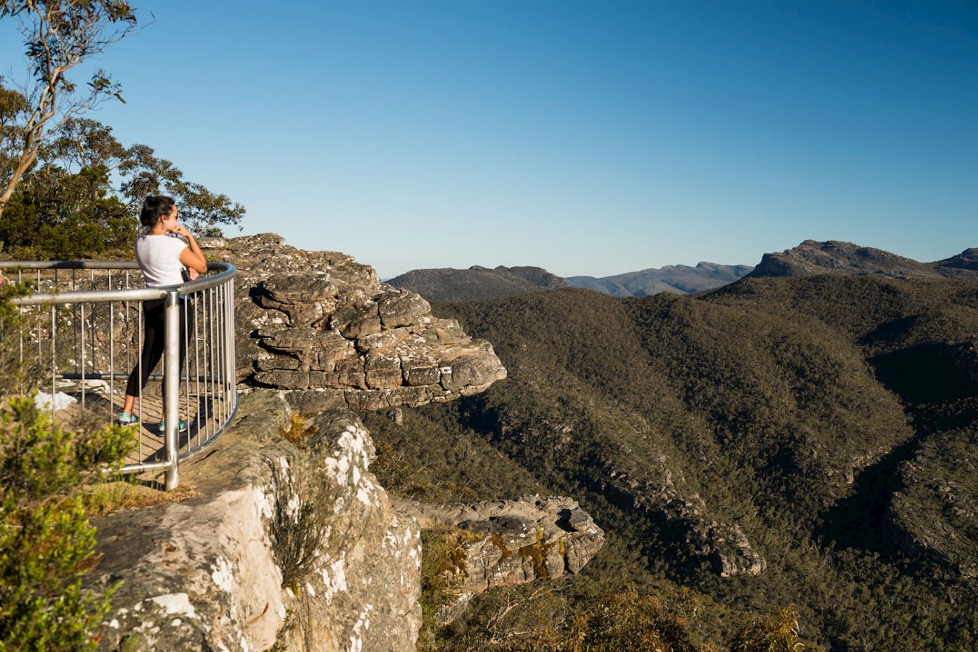 Autopia Tours Grampians National Park Wildlife Tour
