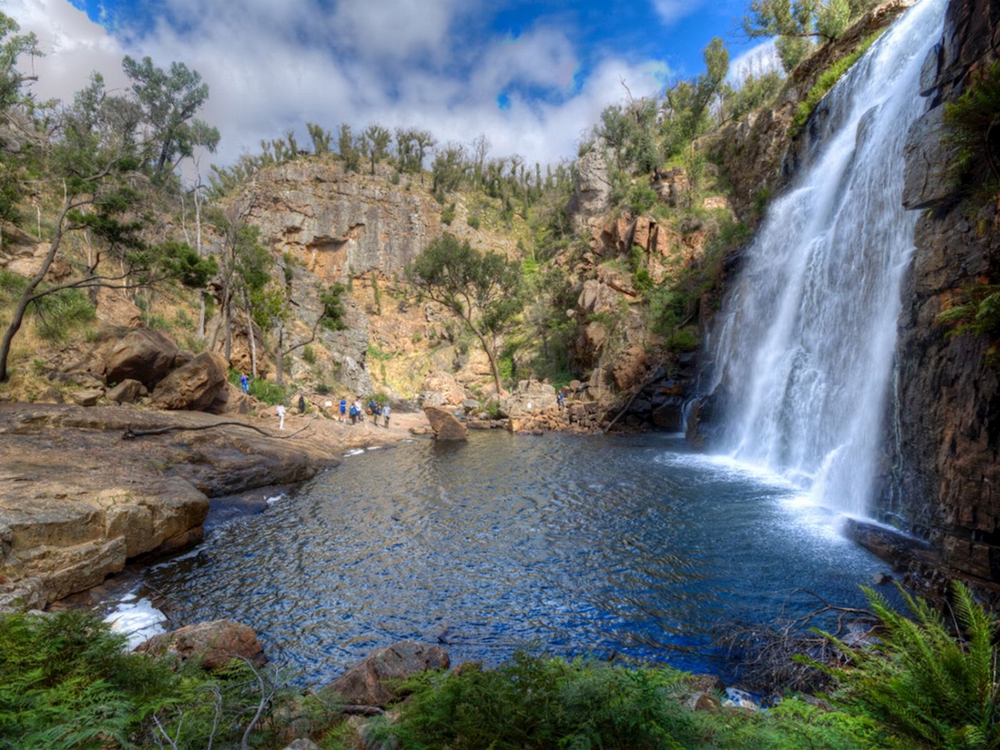 Autopia Tours Grampians National Park Wildlife Tour