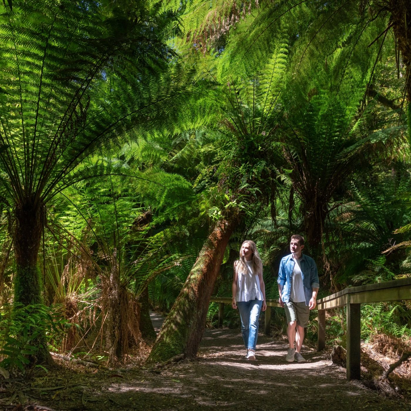 Bunyip Tours Great Ocean Road Tour
