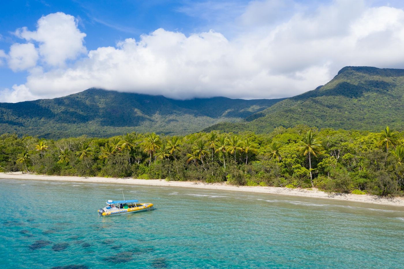 Ocean Safari Great Barrier Reef Snorkel Tour (Morning)