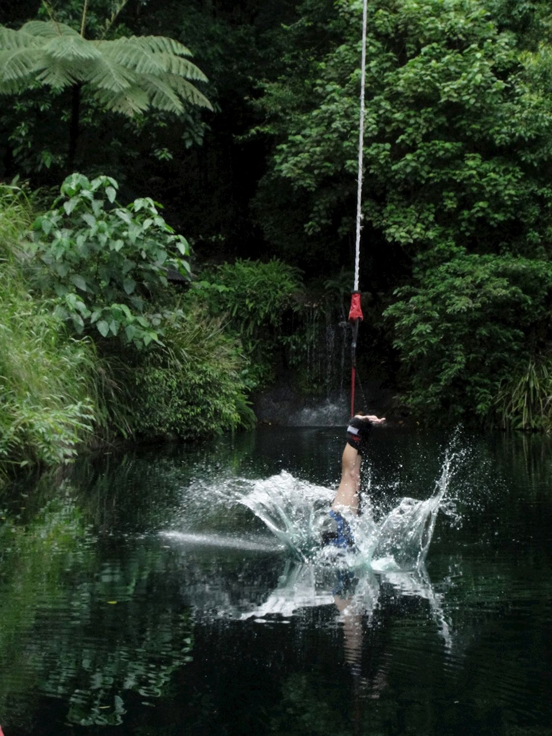 Skypark by AJ Hackett Bungy Jump with Media