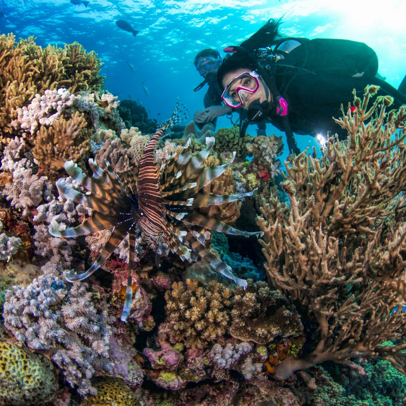 Pro Dive Cairns 5 Day Learn to Dive Course (2 Days Classroom + 3 Day/2Night Liveaboard)