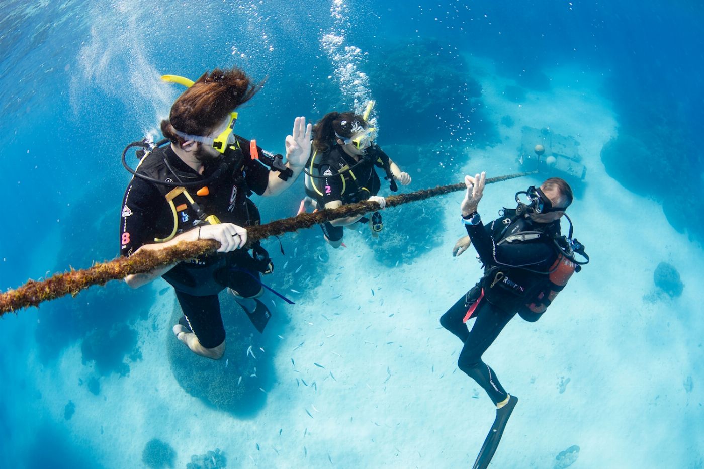 Silverswift Barrier Reef Cruise (Introductory Dive)