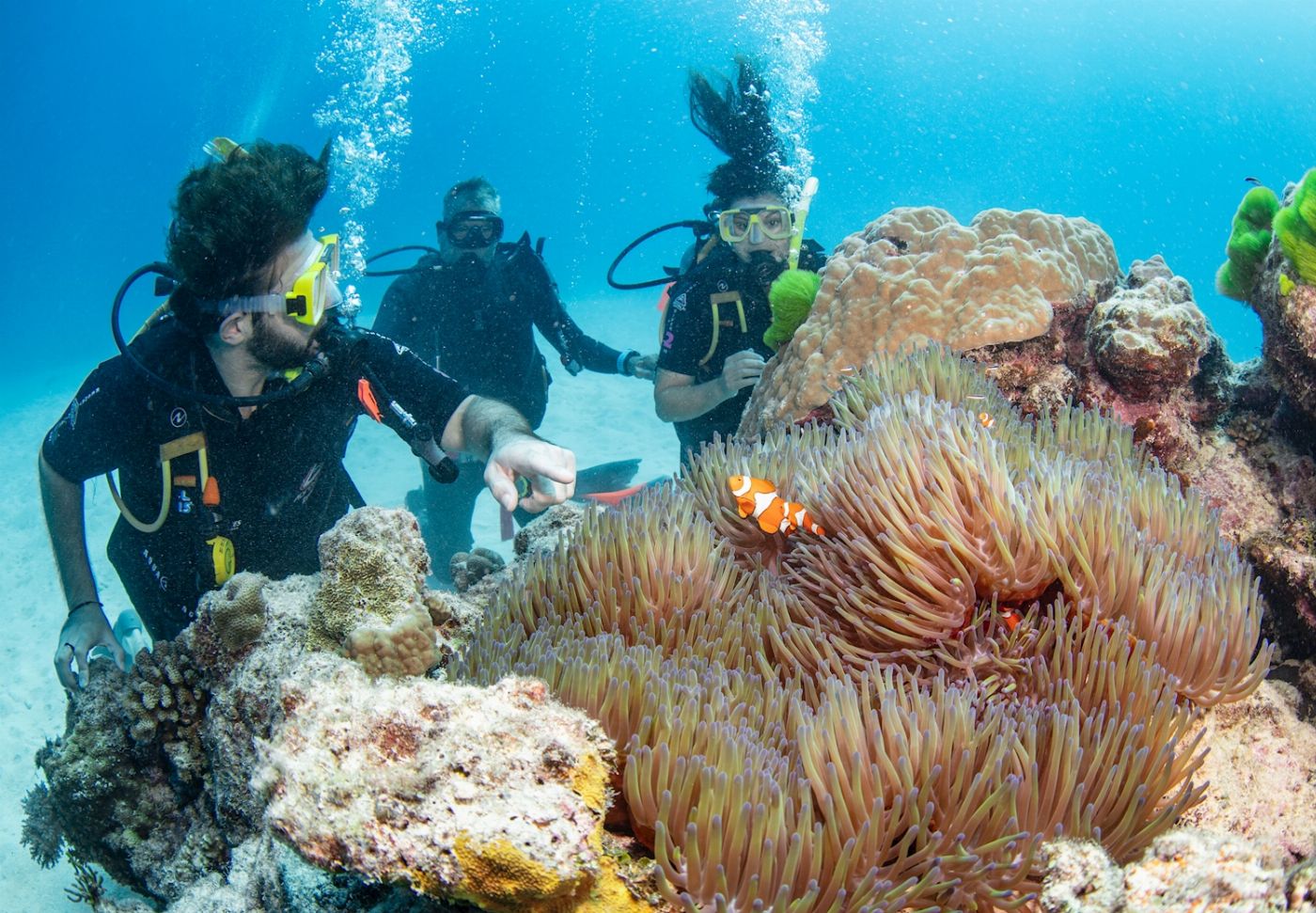 Silverswift Barrier Reef Cruise (Introductory Dive)