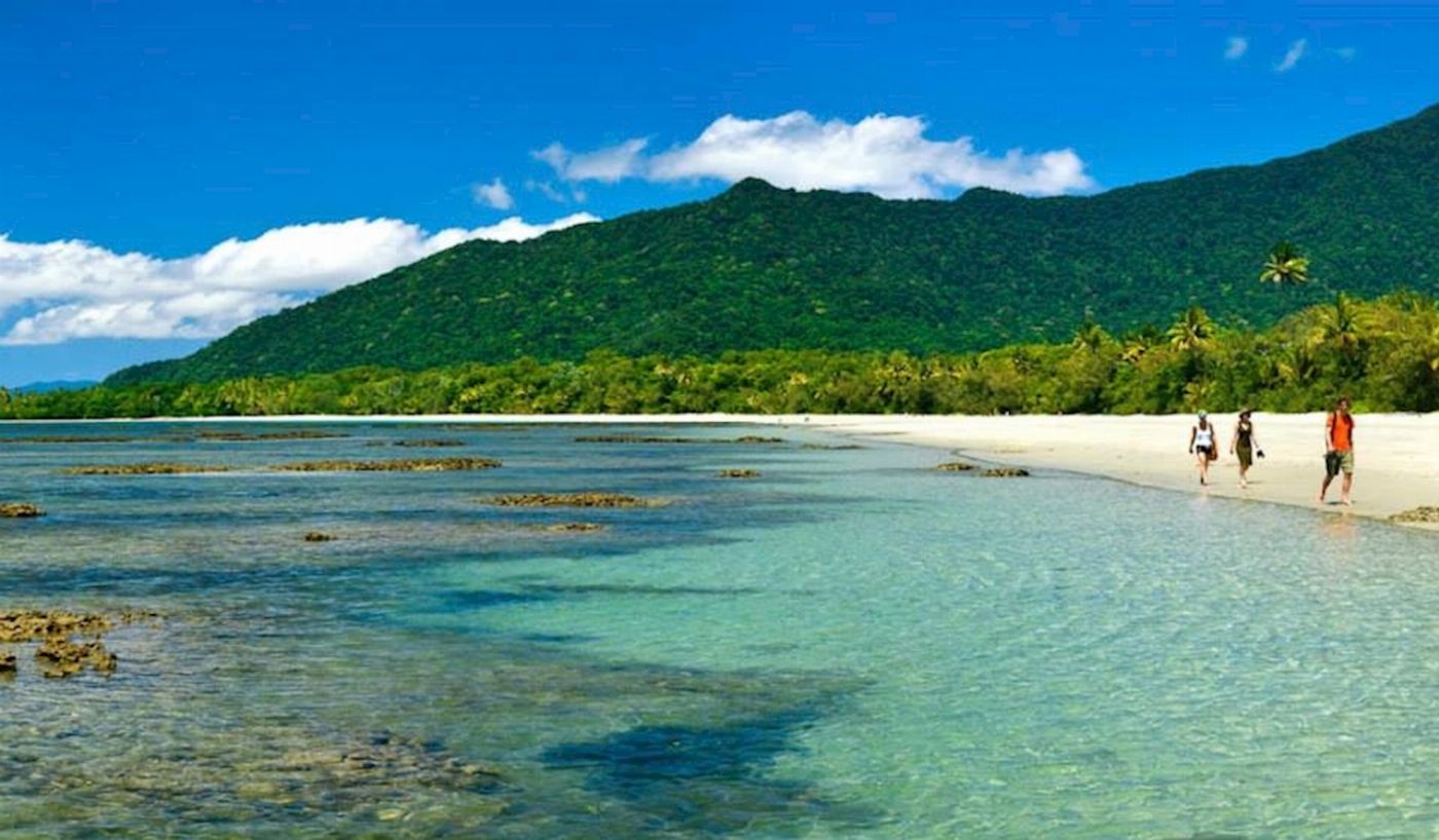Discovery Tours Premium Cape Tribulation, Daintree & Mossman Gorge Rainforest Day Tour