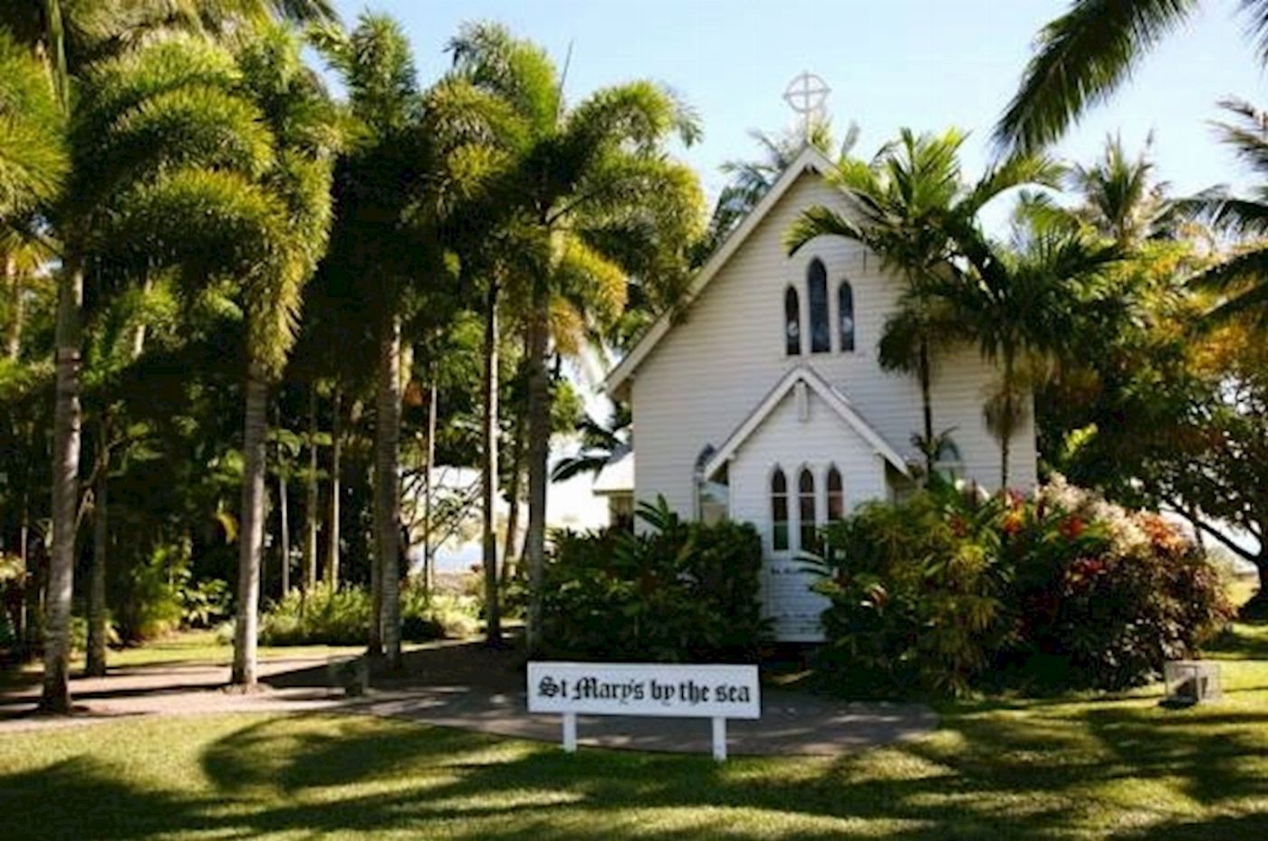 Discovery Tours Premium Cape Tribulation, Daintree & Mossman Gorge Rainforest Day Tour
