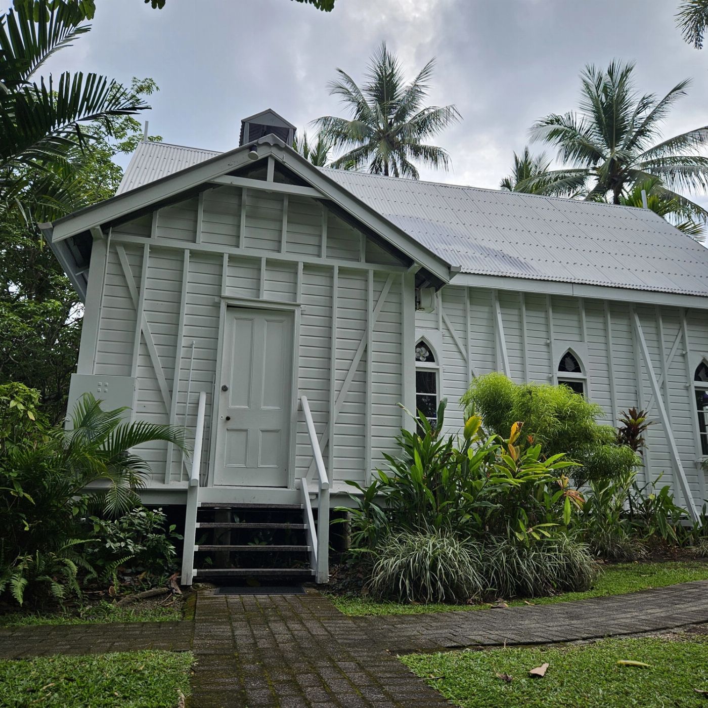 Discovery Tours Premium Cape Tribulation, Daintree & Mossman Gorge Rainforest Day Tour