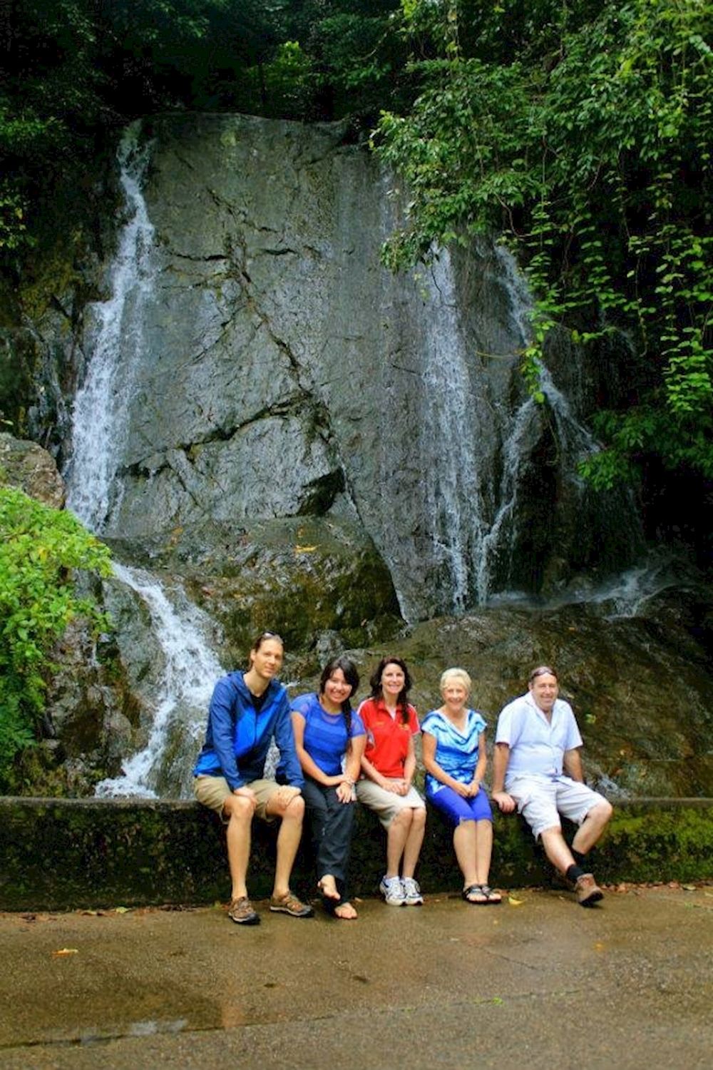 Discovery Tours Rainforest & Waterfalls Half Day Tour
