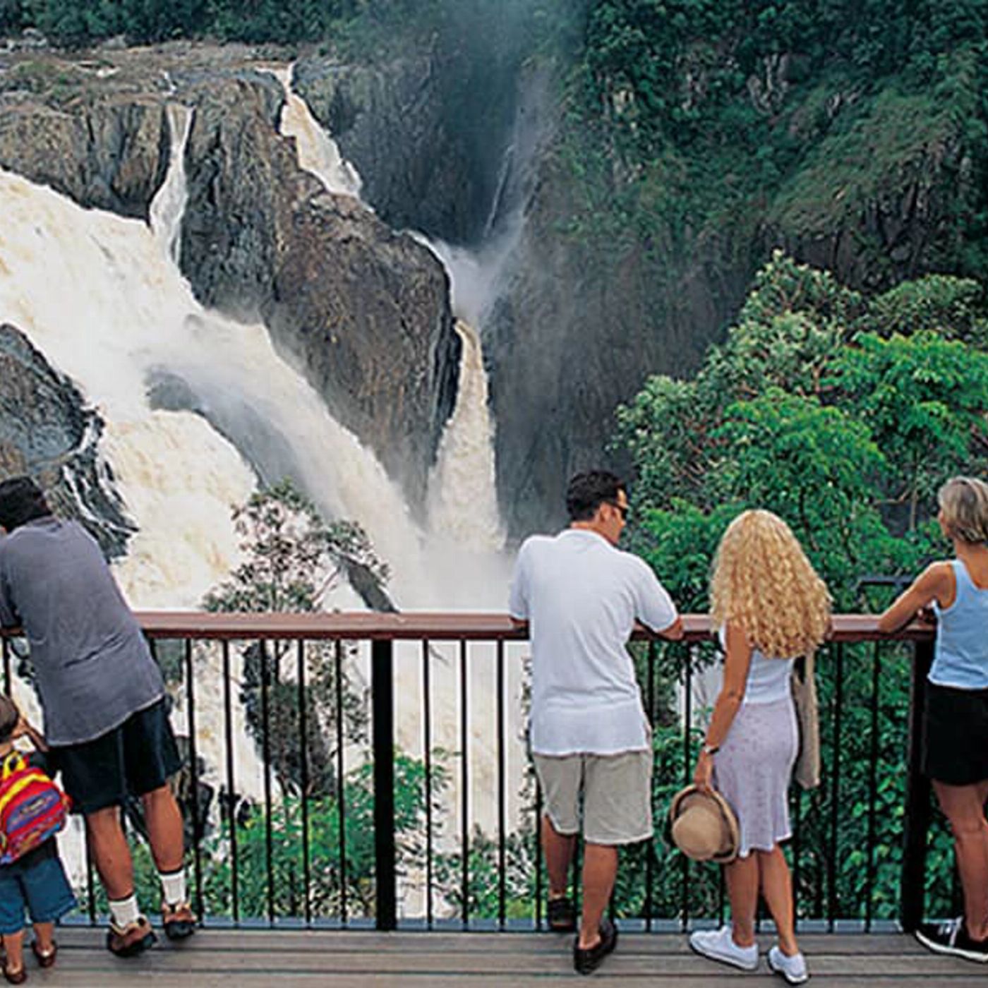 Discovery Tours Rainforest & Waterfalls Half Day Tour