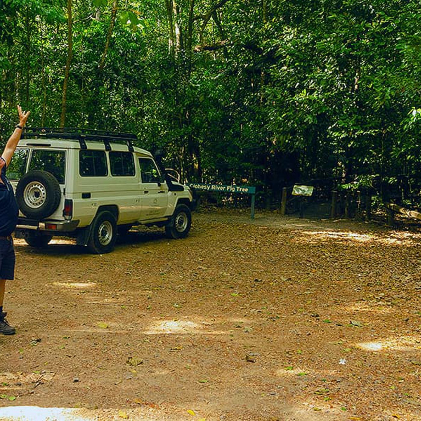 Discovery Tours Rainforest & Waterfalls Half Day Tour