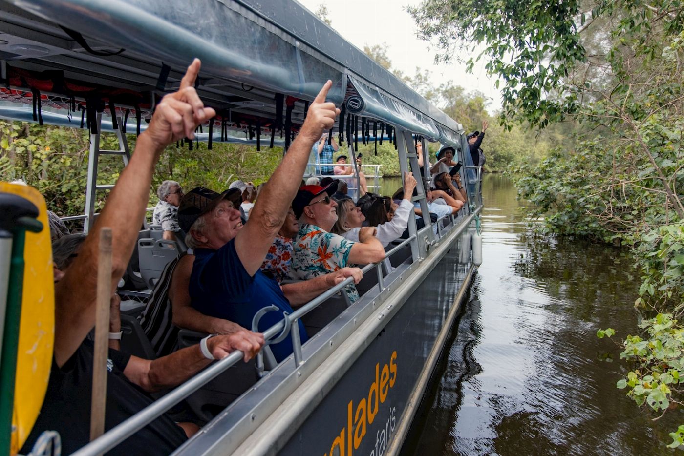Everglades Eco Safaris Everglades Serenity Tour