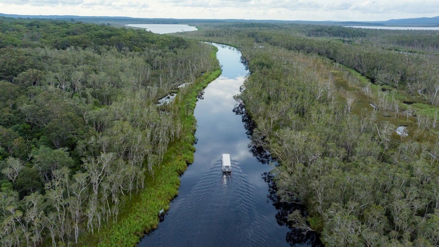 Everglades Eco Safaris Everglades Serenity Tour