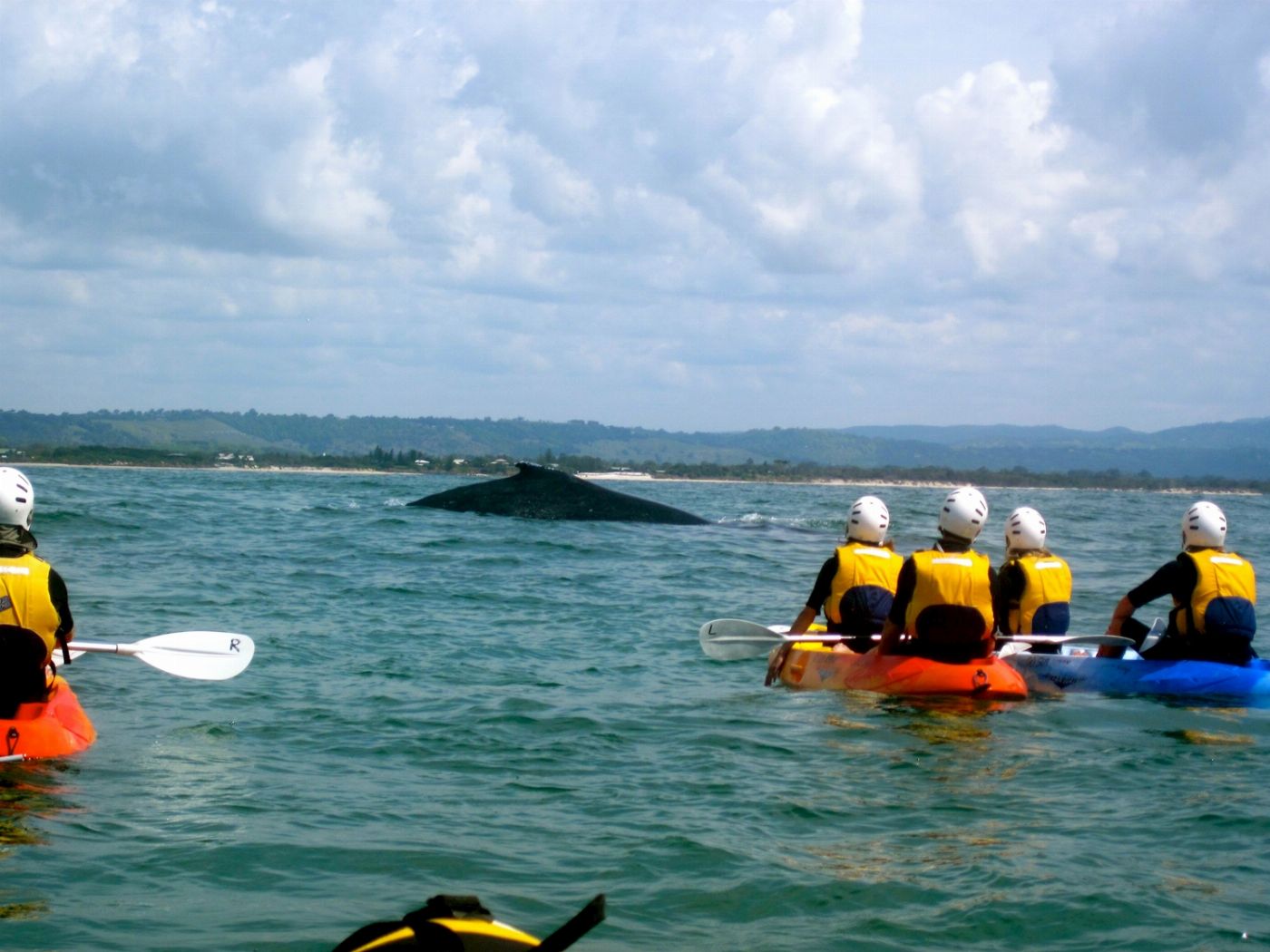 Go Sea Kayak Byron Bay Sea Kayak Tour