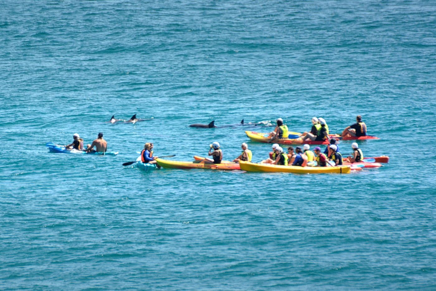 Go Sea Kayak Byron Bay Sea Kayak Tour
