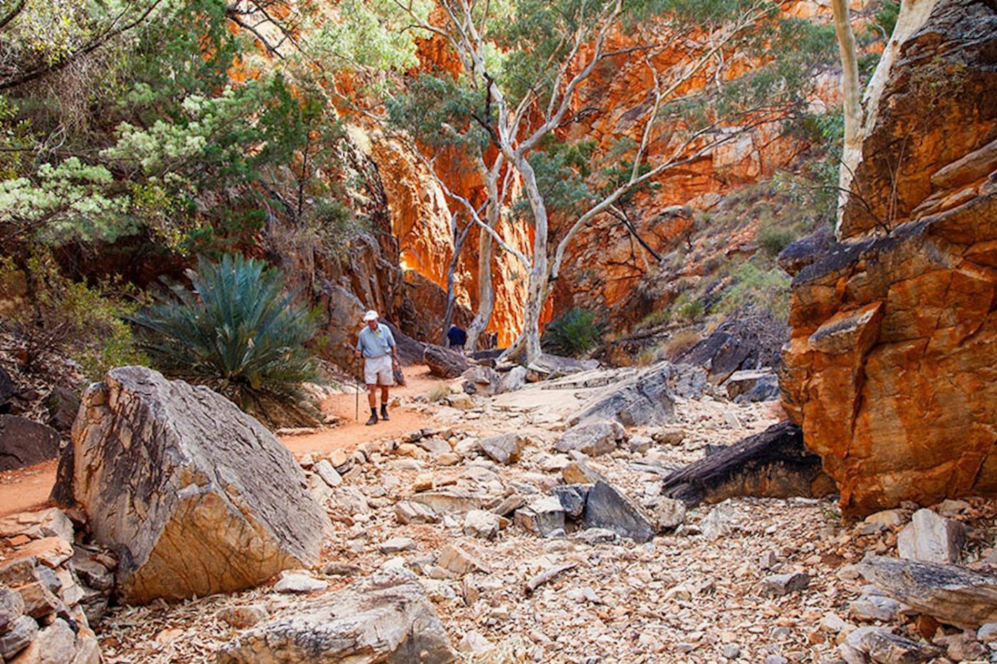 Emu Run West MacDonnell Ranges Tour
