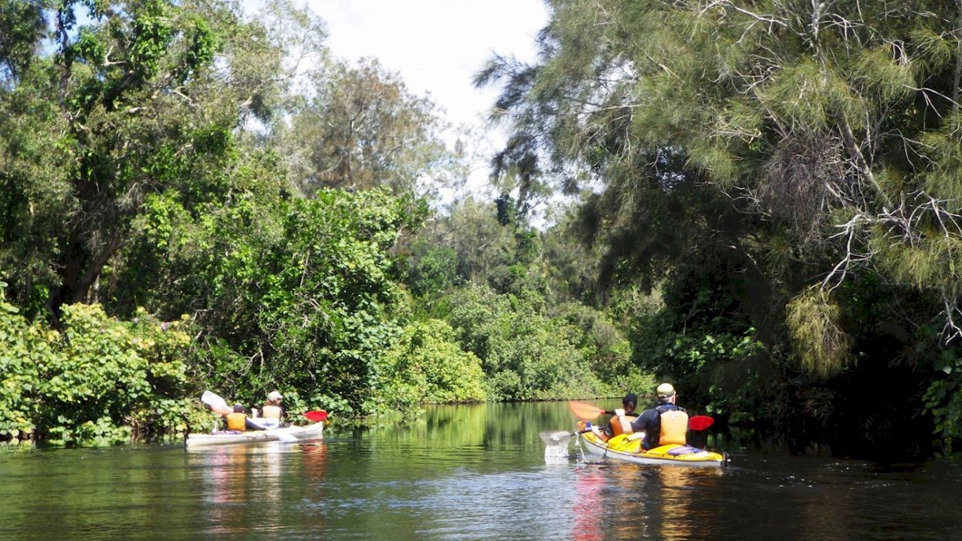 Kanu Kapers Noosa Everglades Kayak Adventure (Self-Guided)
