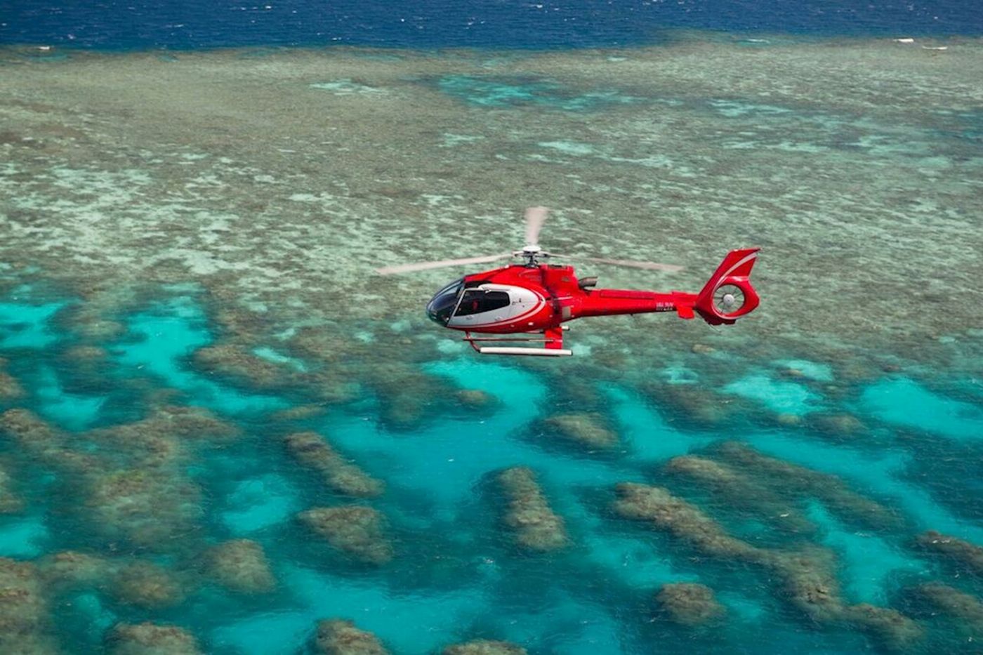 Down Under Cruise & Dive Get High Package (Snorkel)