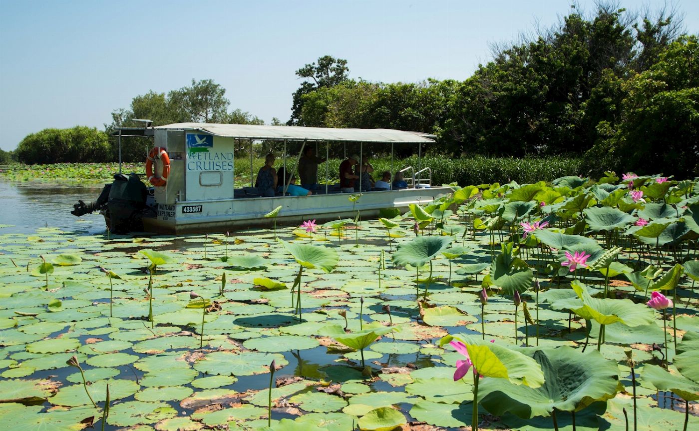 Wetland Cruises Corroboree Billabong Wetland Cruise - 2.5hr Lunch Cruise Self Drive - 12.45pm