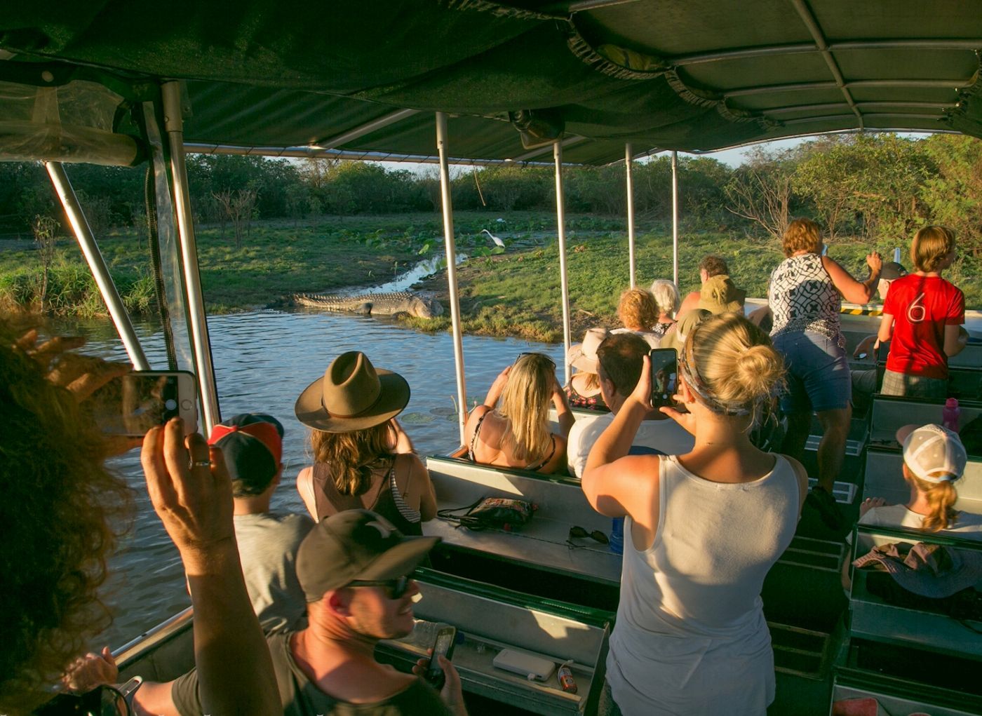 Corroboree Billabong Wetland Cruises - 1.5 hr Morning Cruise Self Drive - 10.00am