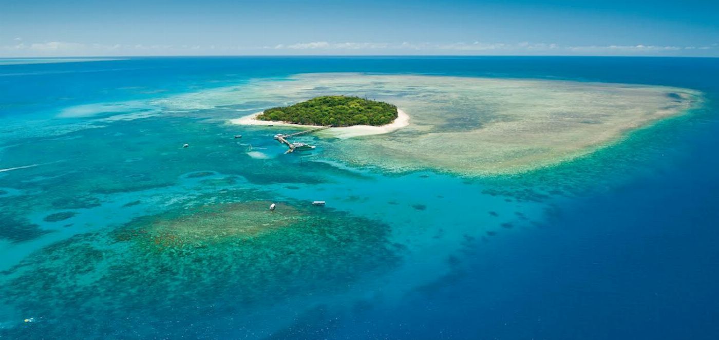 Big Cat Green Island Reef Cruises Green Island Full Day Tour