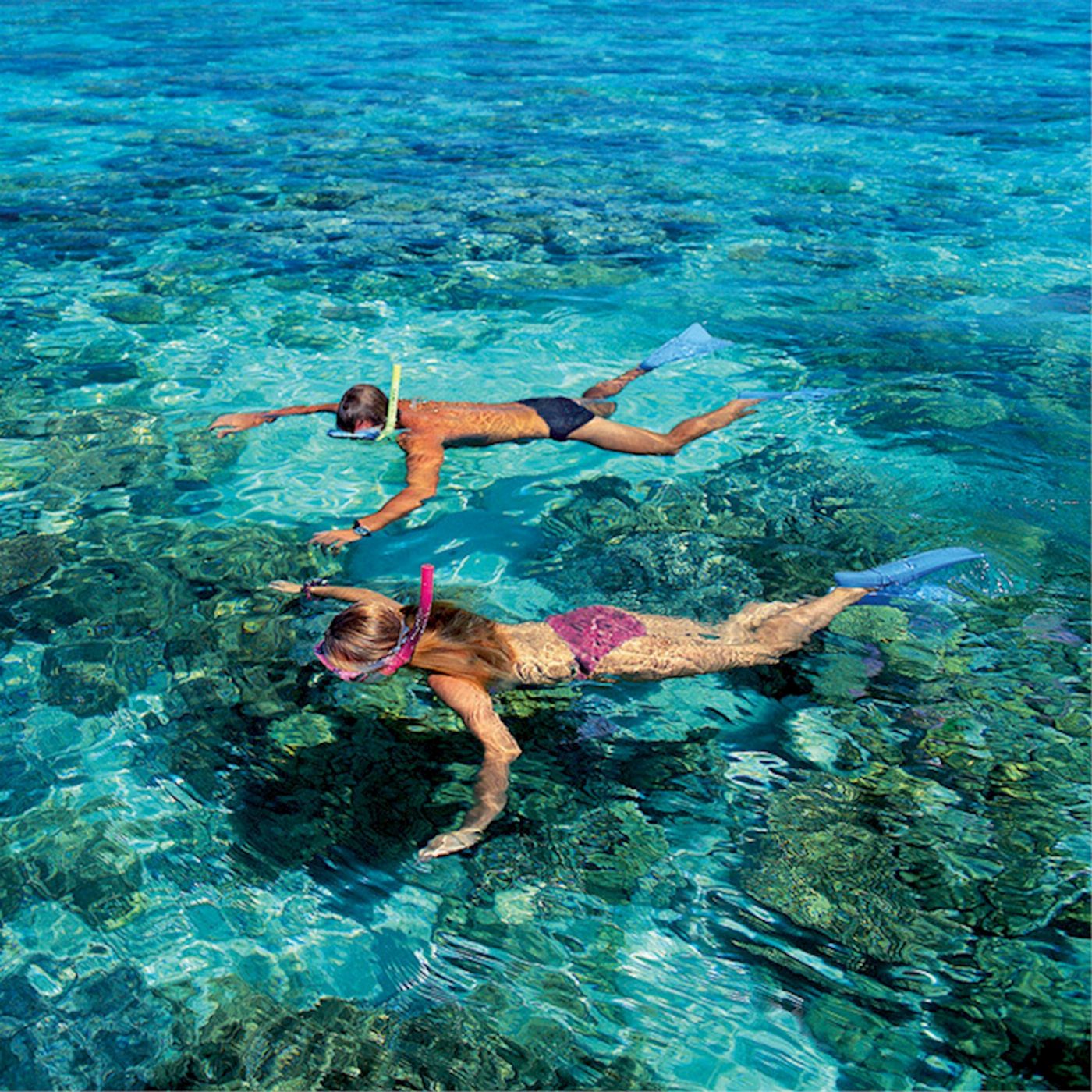 Big Cat Green Island Reef Cruises Green Island Half Day Trip (Morning)