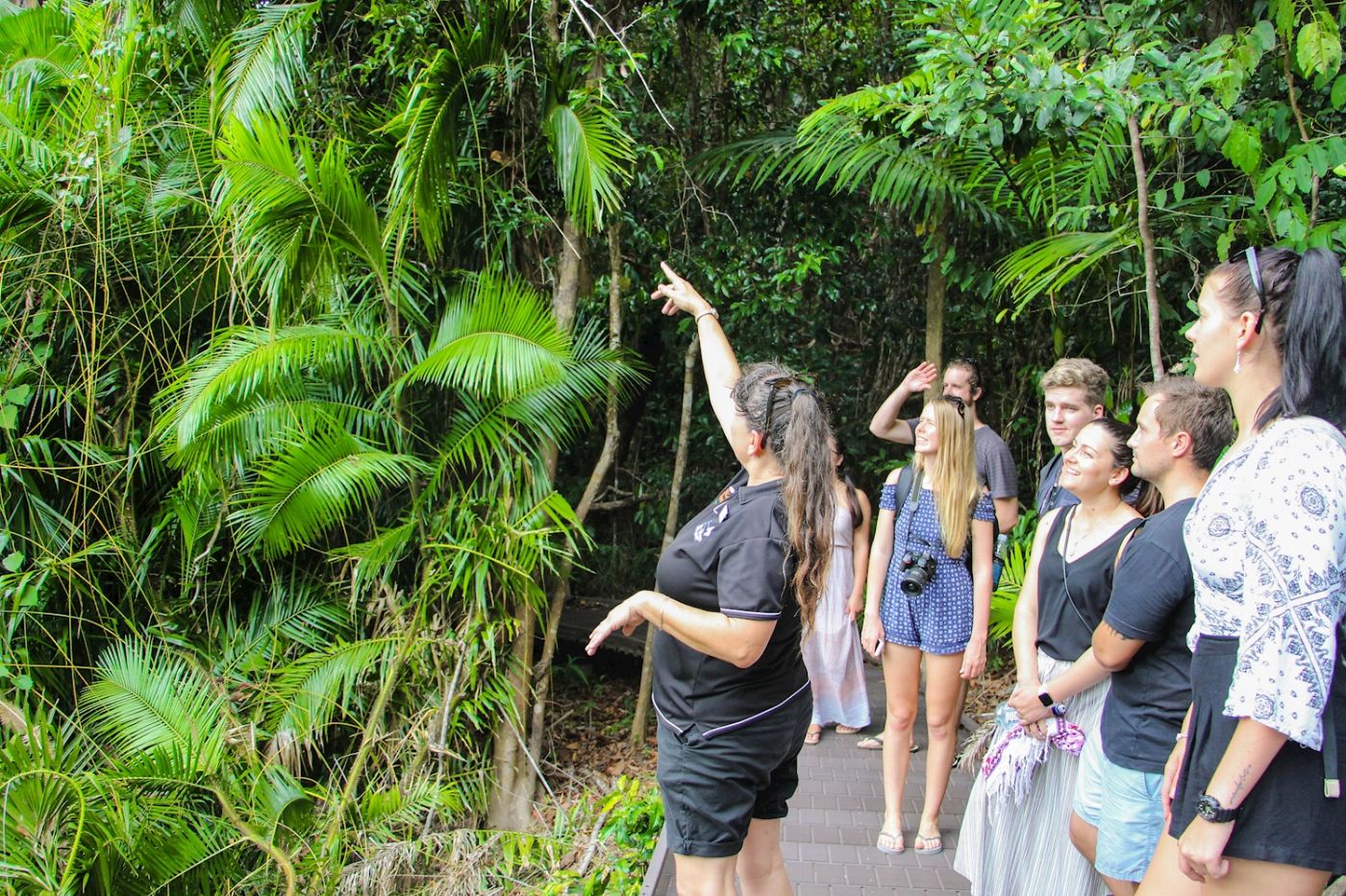 Tropic Wings Cape Tribulation, Daintree & Wildlife
