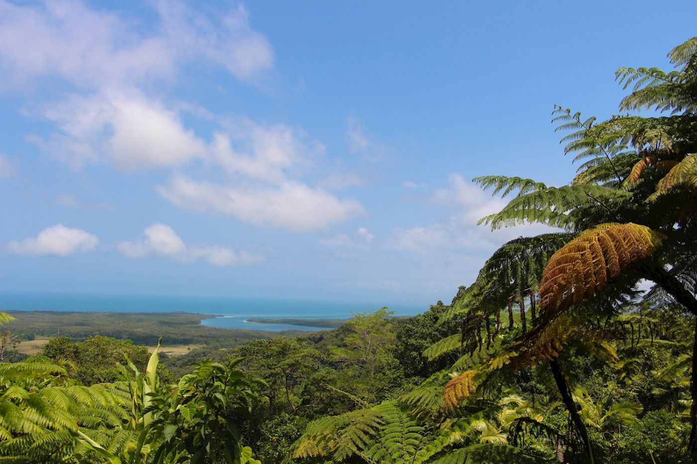 Tropic Wings Cape Tribulation, Daintree & Wildlife