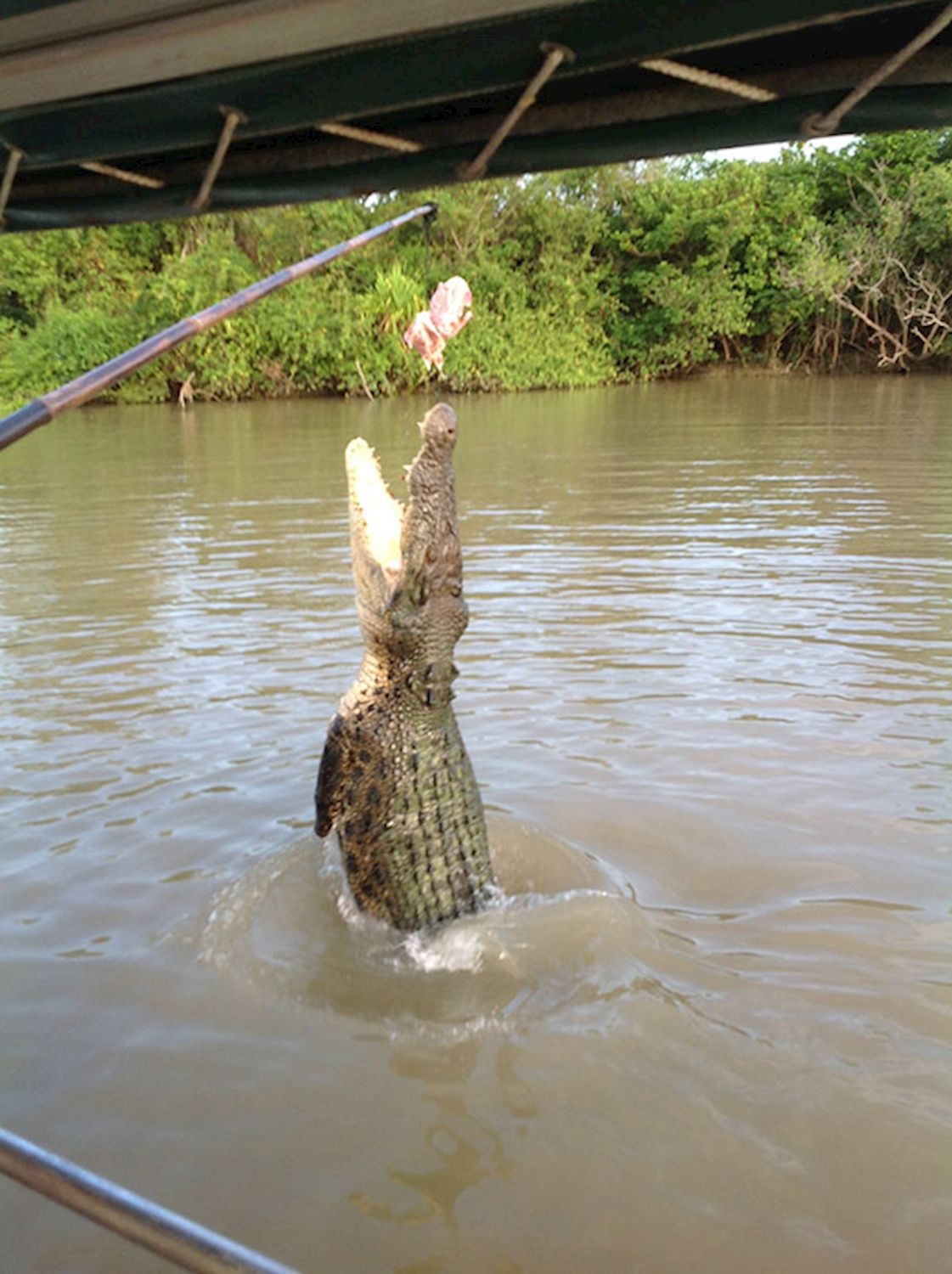 Litchfield Escapes 1 Day Litchfield Park Tour And Jumping Crocodile Cruise