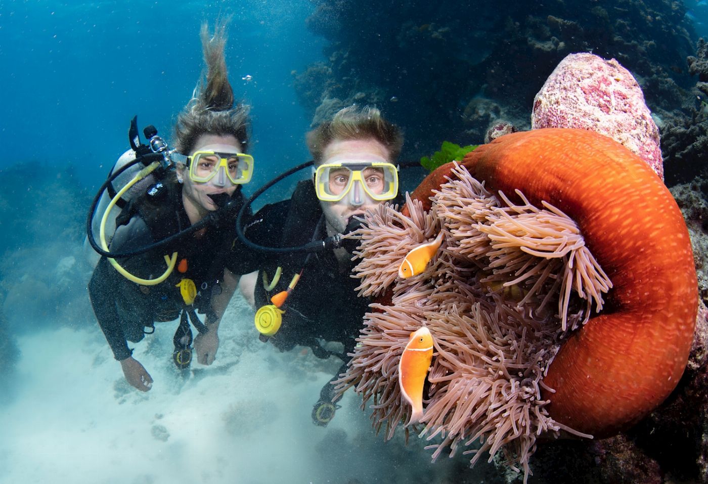 Silverswift Barrier Reef Cruise (Certified Dive)