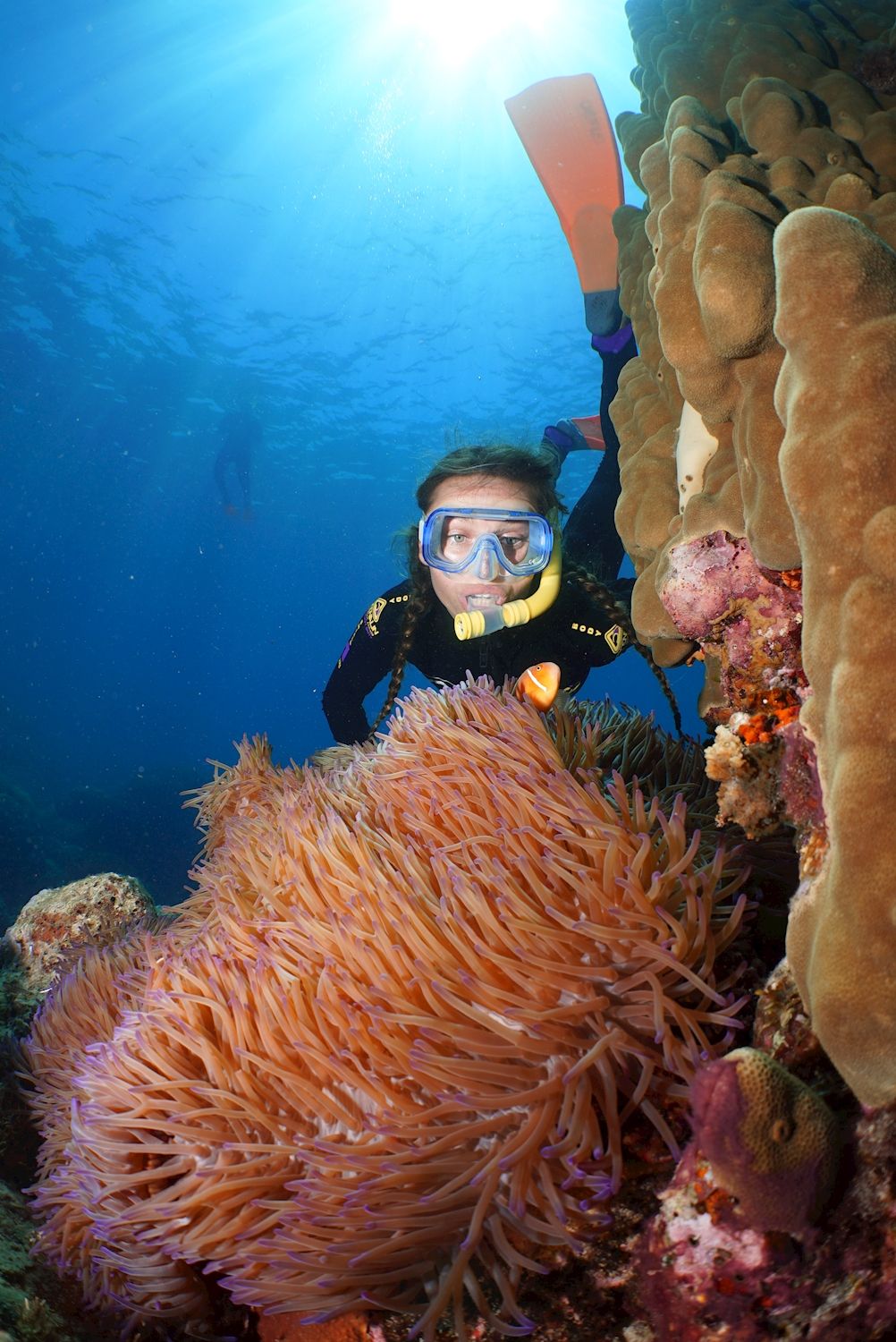 Silversonic Barrier Reef Cruise (Snorkel)
