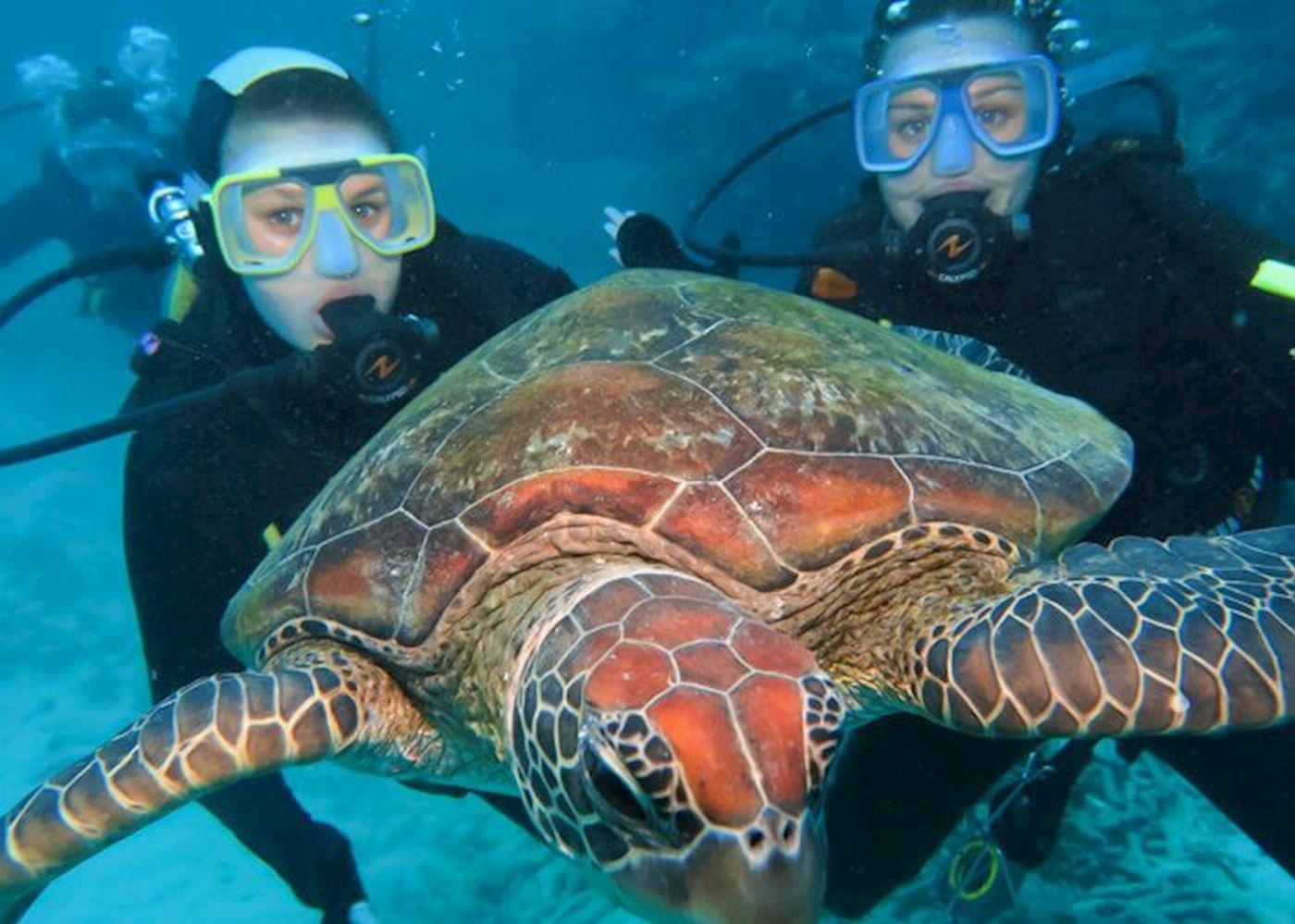 Silversonic Barrier Reef Cruise (Intro Dive)