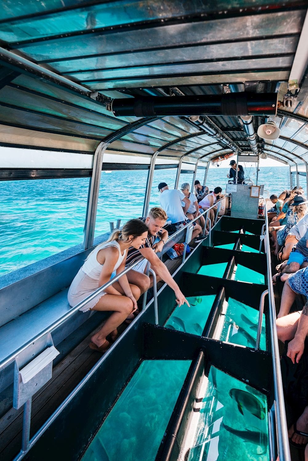 Great Adventures Green Island Eco (Snorkel Gear or Glass Bottom Boat) + Boat Snorkel Trip