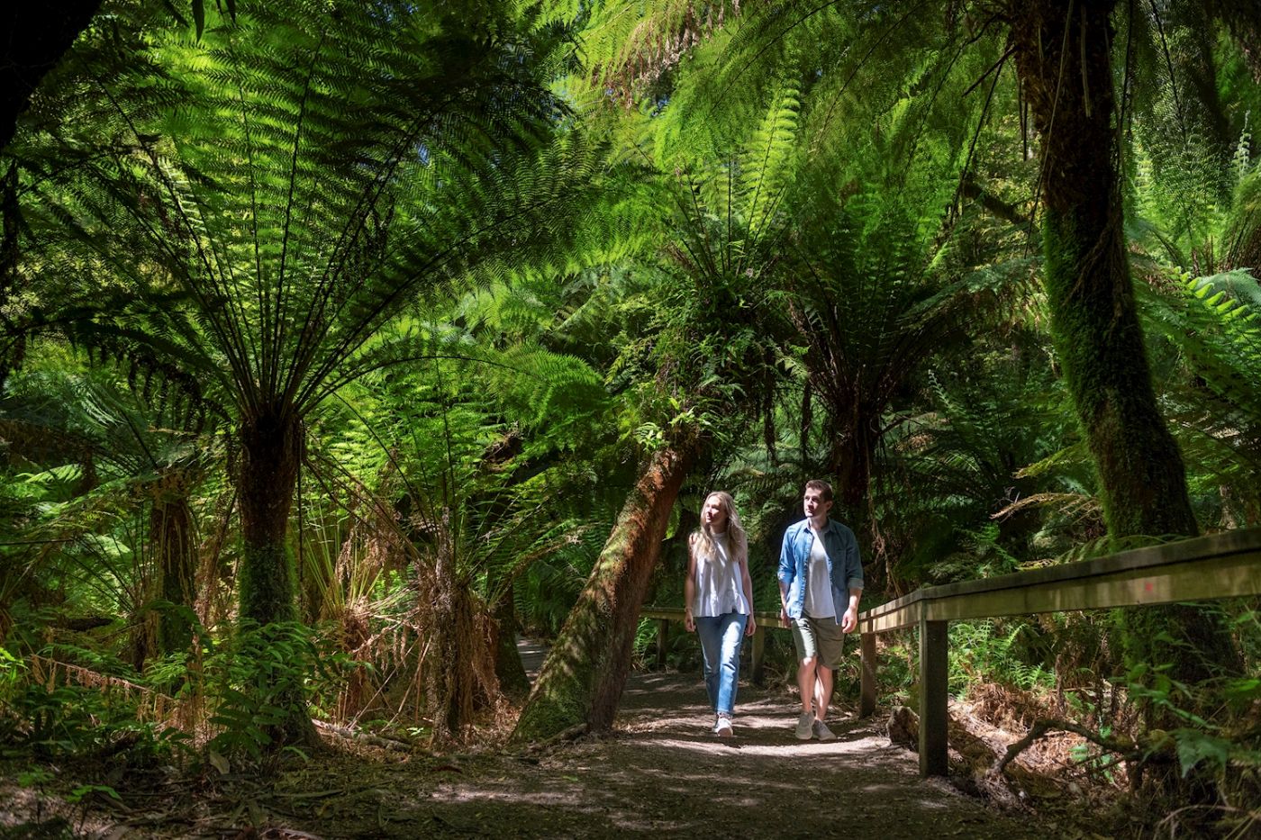 Autopia Tours Great Ocean Road Reverse Tour with lunch