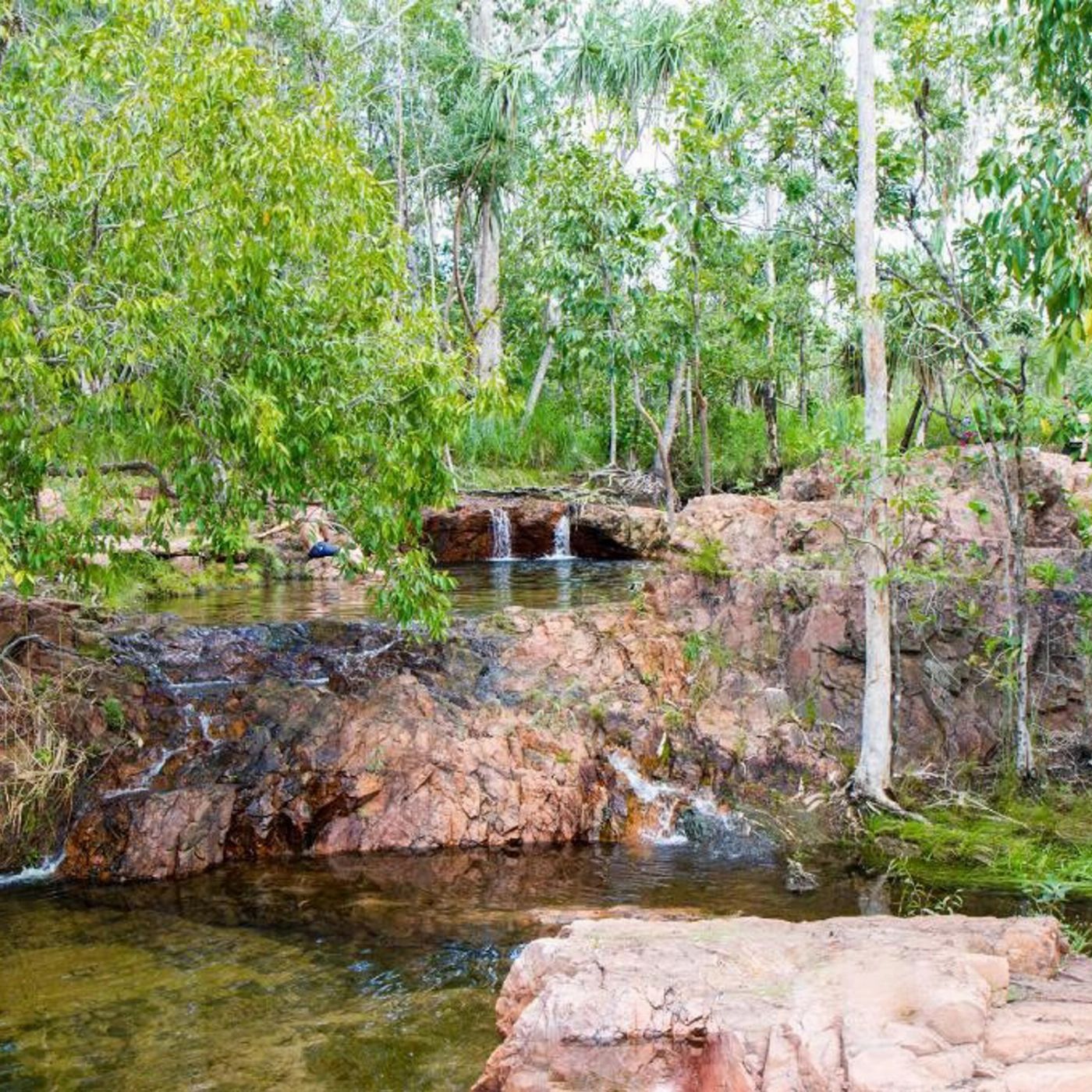 Offroad Dreaming Litchfield Day Tour