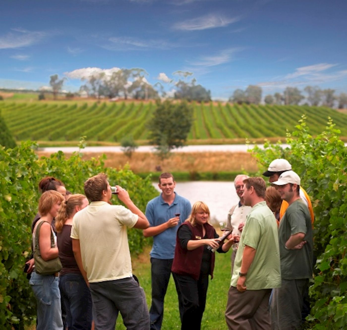 Australian Wine Tour Co. Yarra Valley Wine Experience