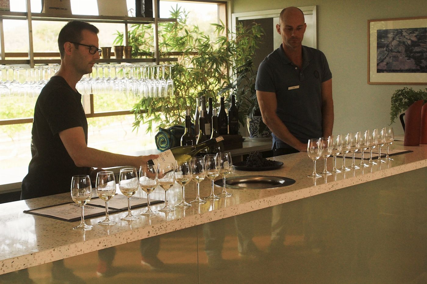 Australian Wine Tour Co. Yarra Valley Wine Experience