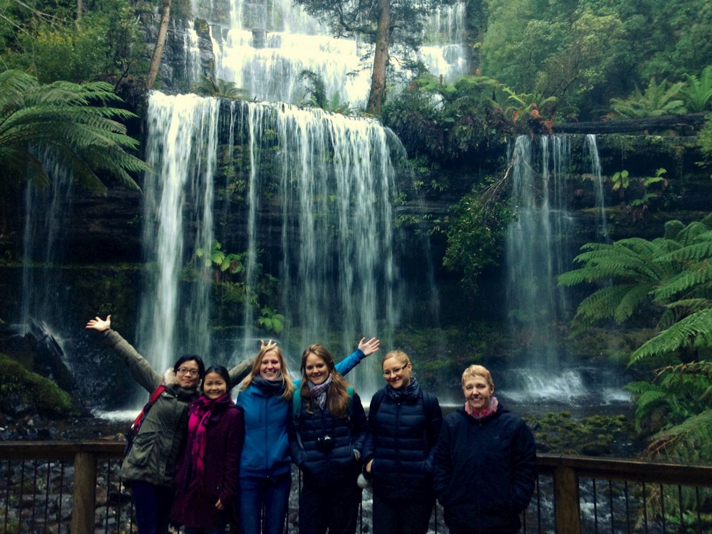 Tours Tasmania Mt Field, Mt Wellington and Wildlife Active day tour