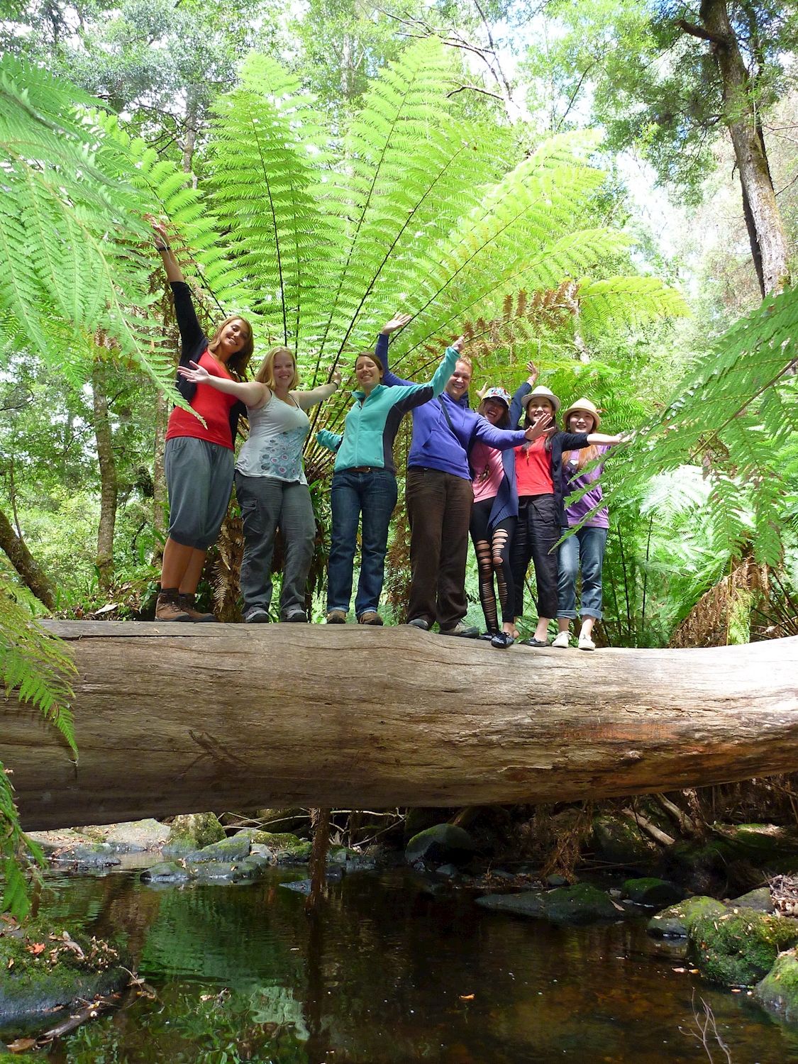 Tours Tasmania Mt Field, Mt Wellington and Wildlife Active day tour