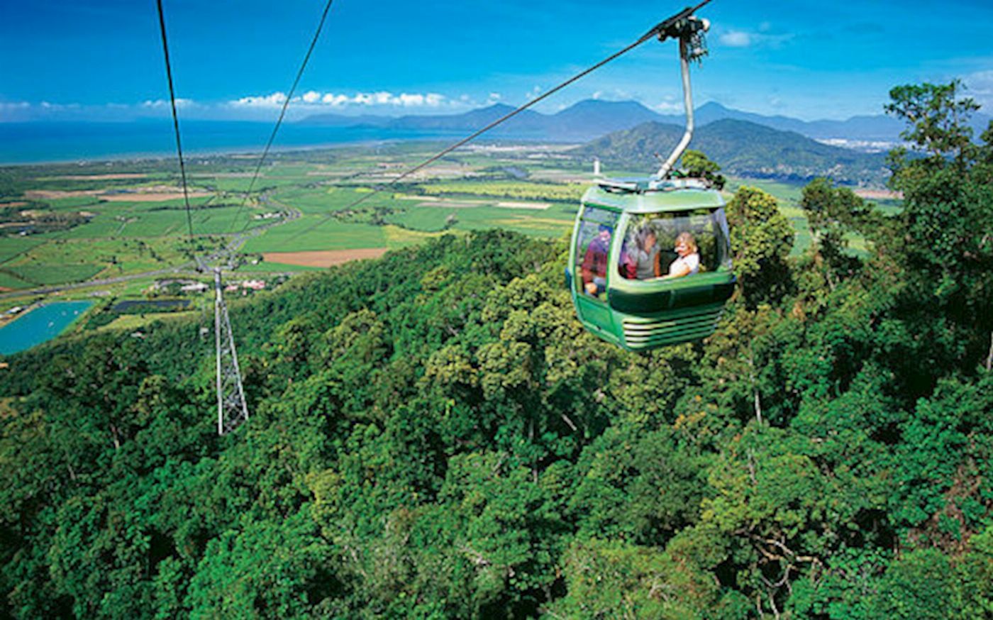 Skyrail Rainforest Cableway One Way Skyrail Experience