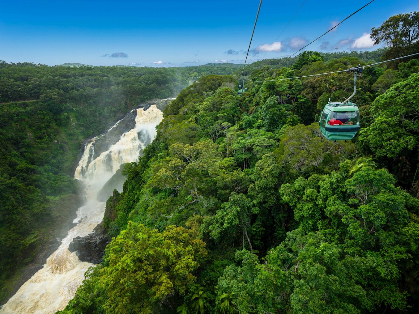 Skyrail Rainforest Cableway One Way Skyrail Experience