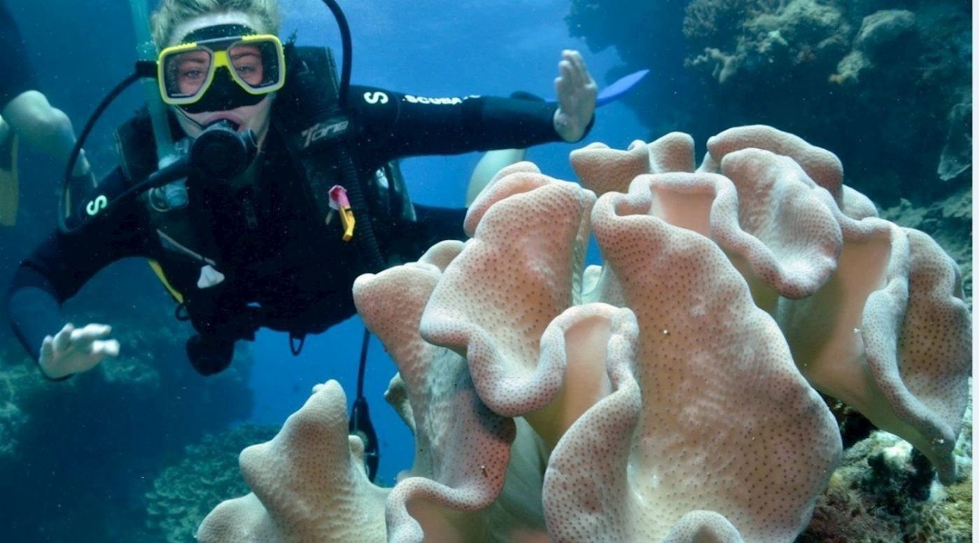 Reef Encounter Certified Dive Adventure 2D/1N (4 Day Dives, 1 Night Dives)