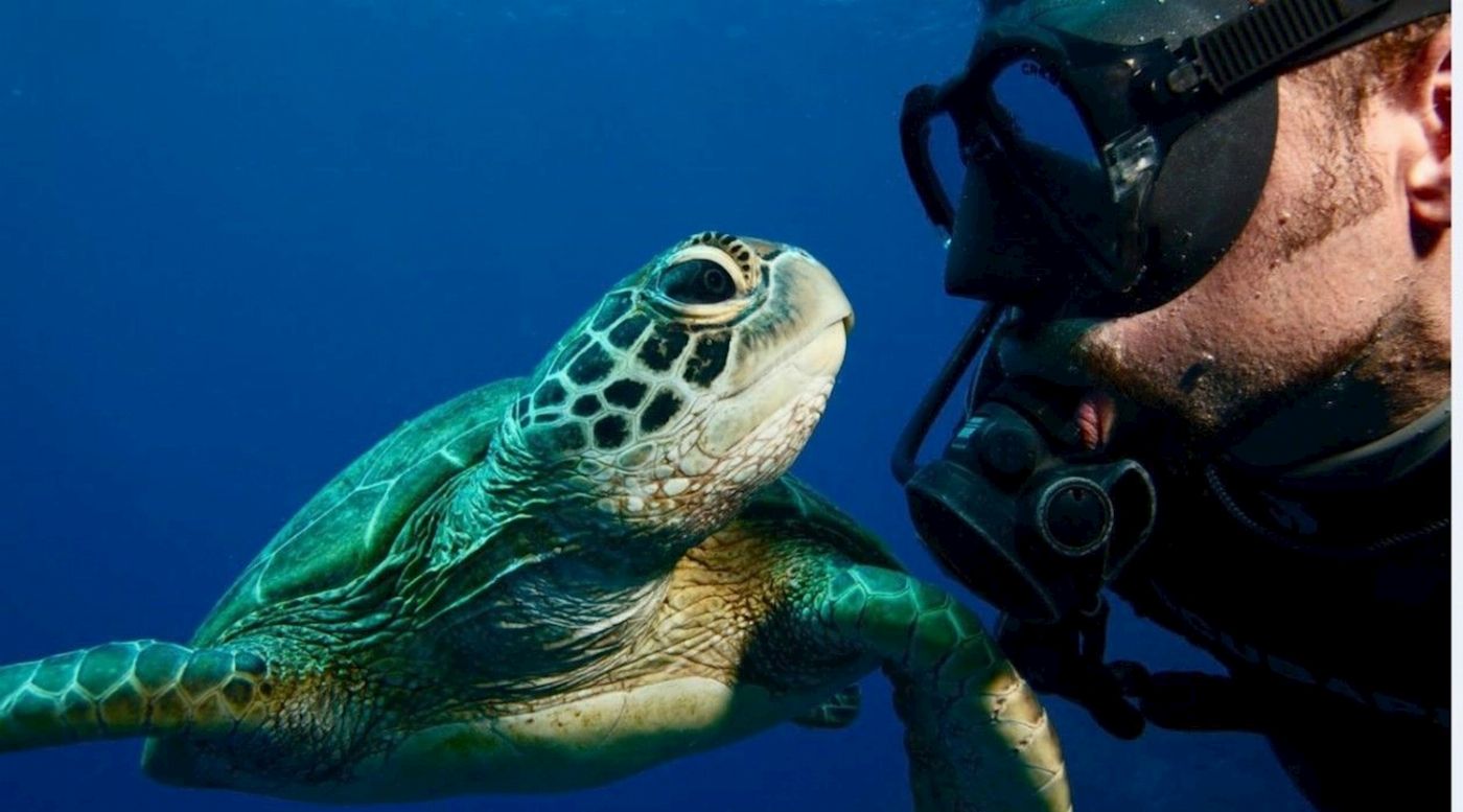 Reef Encounter Certified Dive Adventure 2D/1N (4 Day Dives, 1 Night Dives)