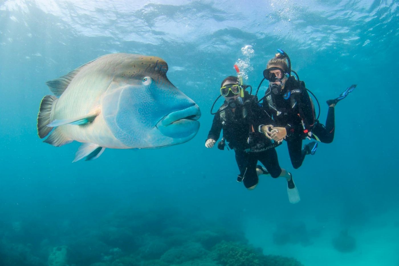Reef Encounter Certified Dive Adventure 2D/1N (4 Day Dives, 1 Night Dives)