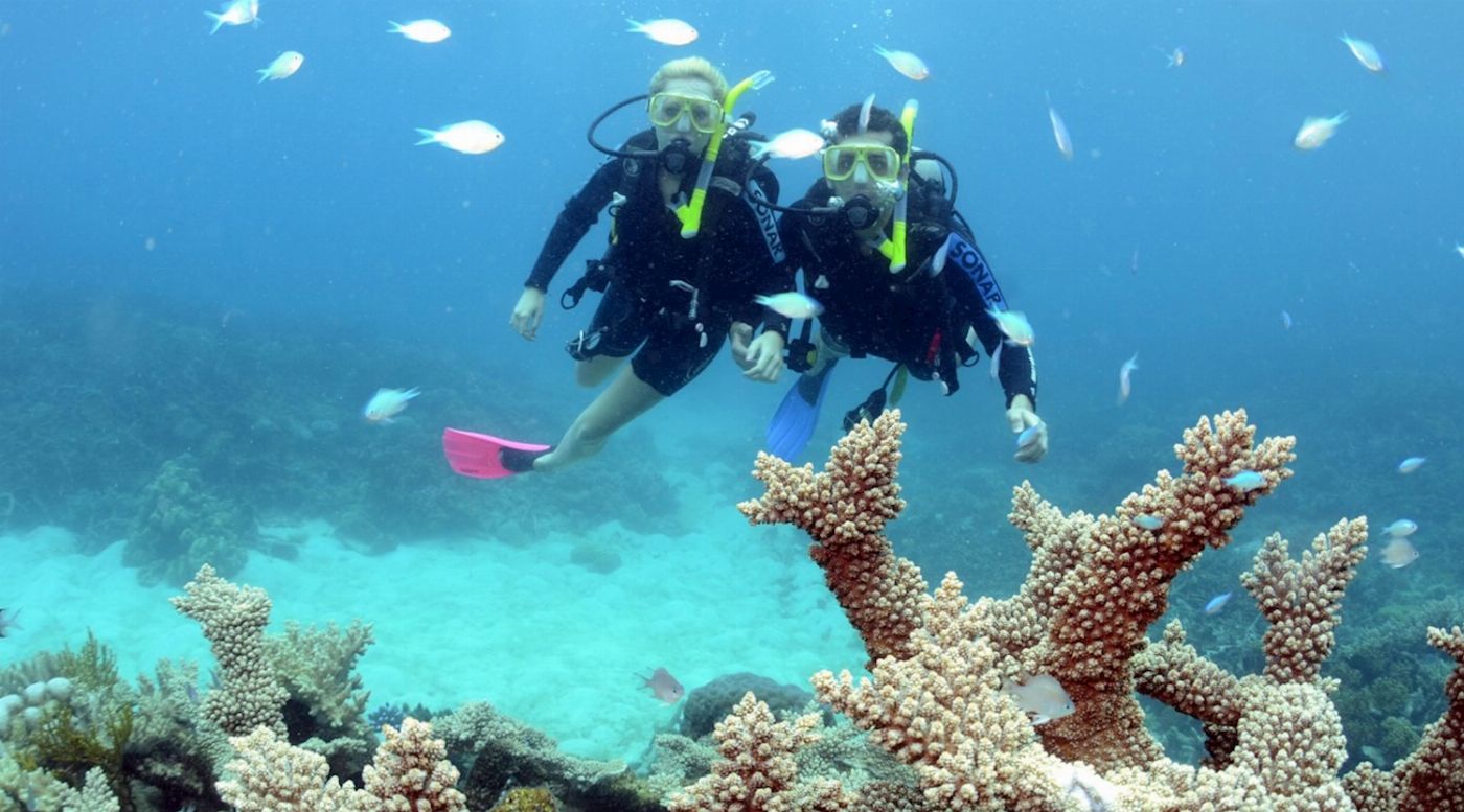 Reef Encounter Intro / Resort Dive Adventure 2D/1N (4 Day Dives)