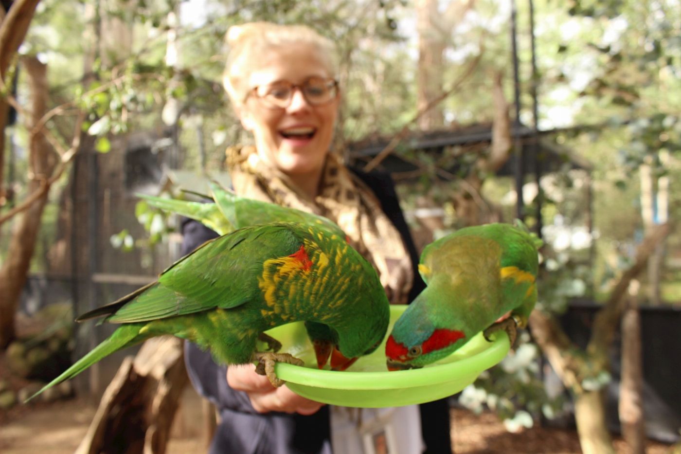 Healesville Sanctuary General Entry
