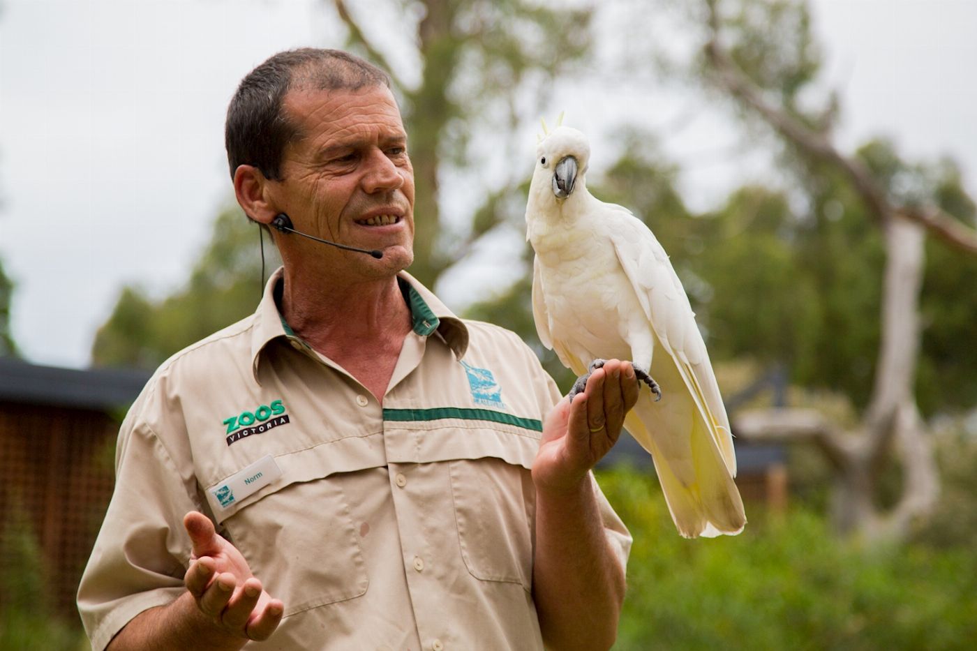Healesville Sanctuary General Entry (Student)