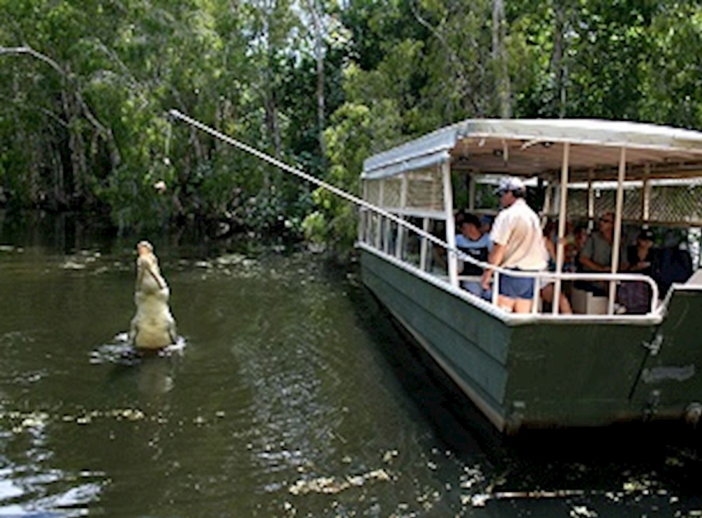 Beaches Meet & Greet Hartley's Crocodile Adventures- AM - Cairns