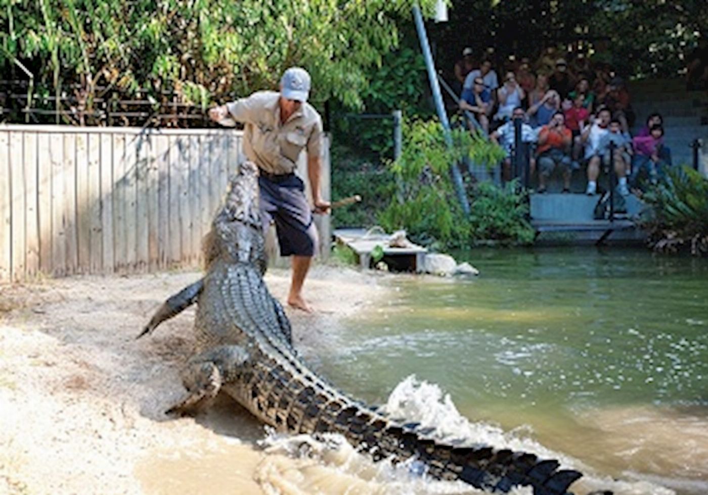 Beaches Meet & Greet Hartley's Crocodile Adventures- AM - Cairns