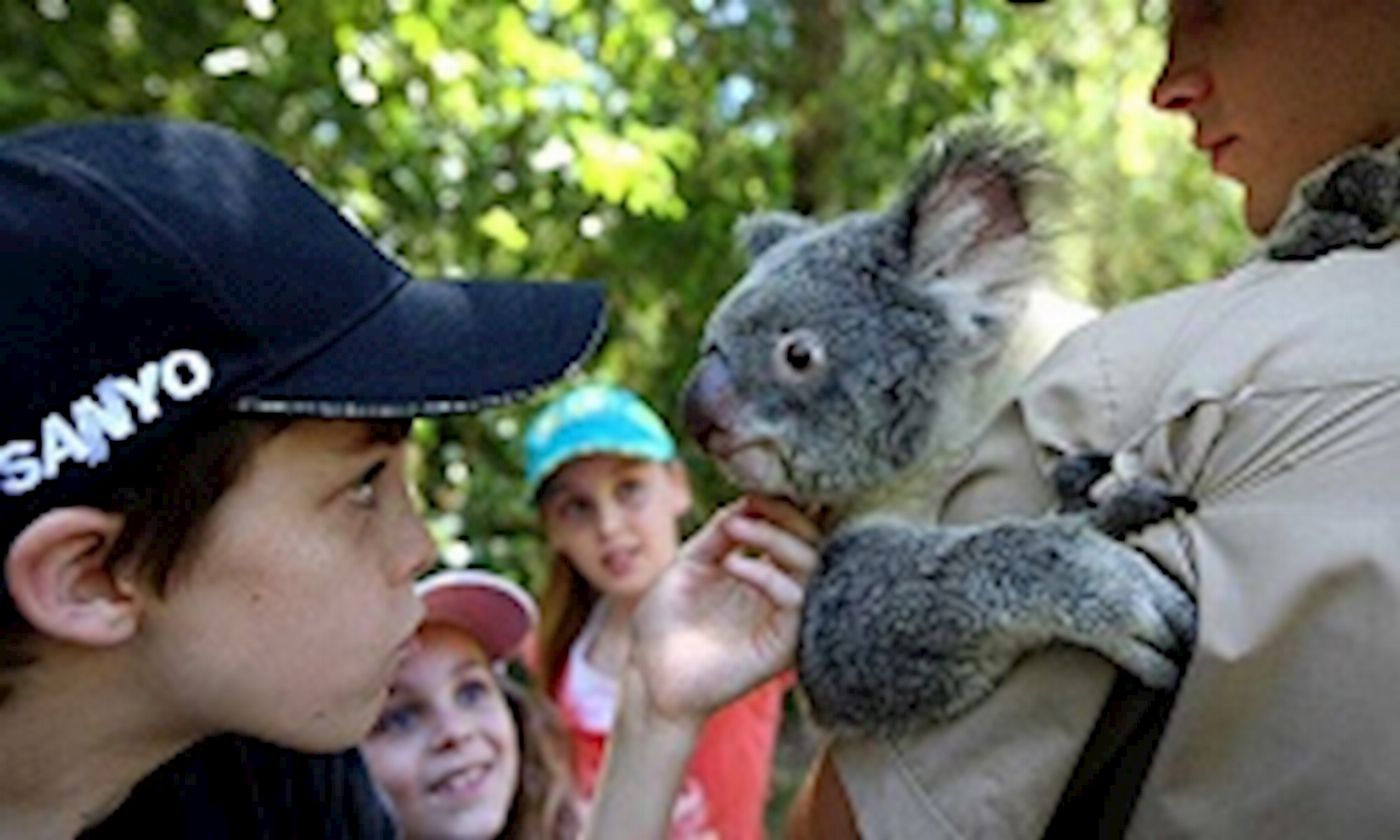 Beaches Meet & Greet Hartley's Crocodile Adventures- AM - Cairns